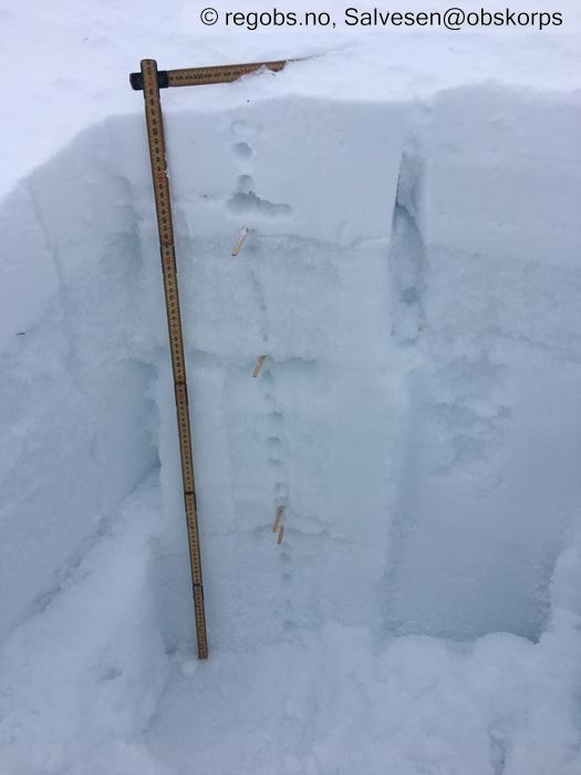 Image Of Snow Profile