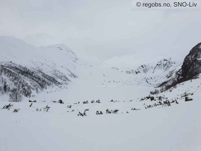 Image Of Snow Cover