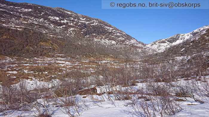 Image Of Snow Cover