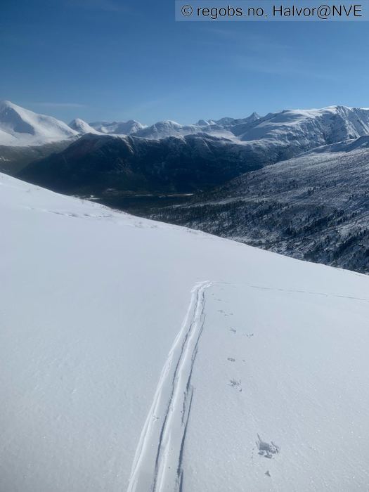 Bilde Av Snødekke