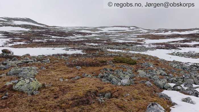 Image Of Snow Cover