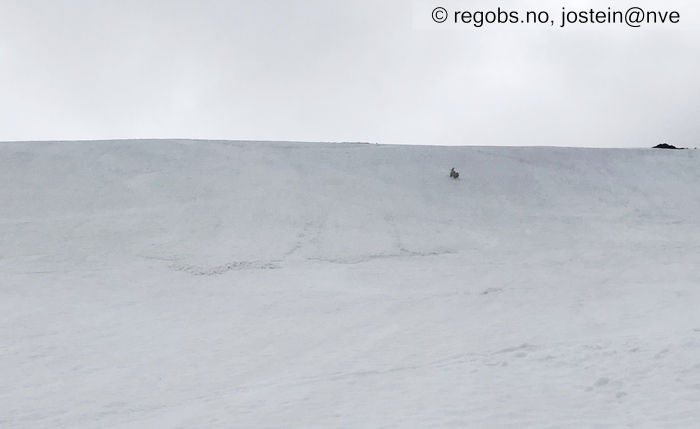 Image Of Avalanche Activity