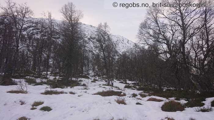 Image Of Snow Cover