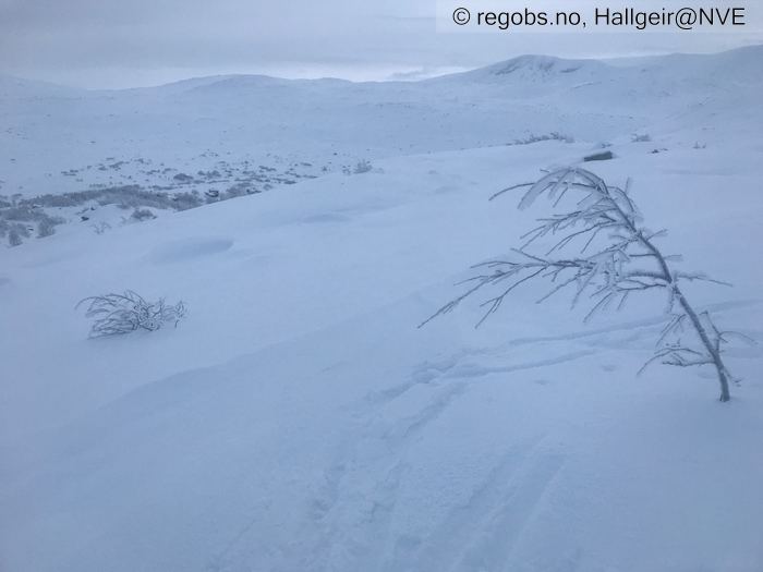 Bilde Av Snødekke