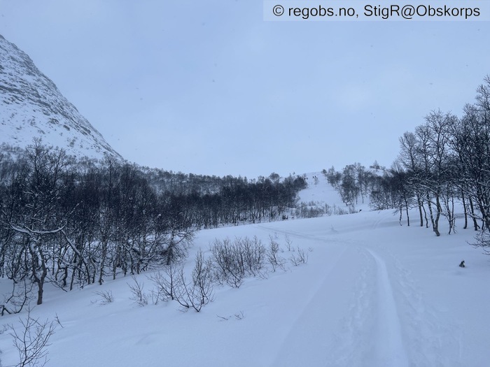 Image Of Snow Cover