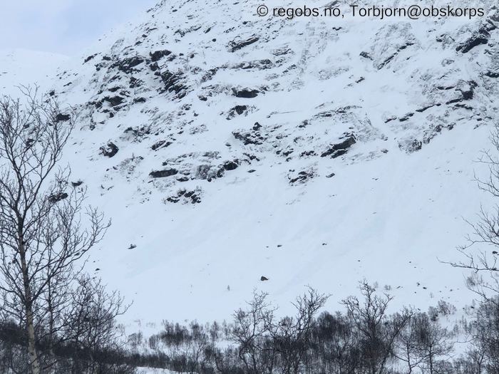 Image Of Avalanche Activity