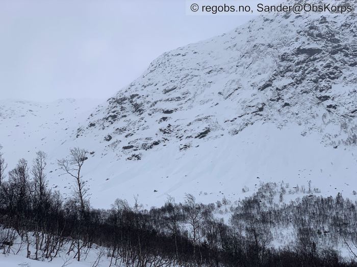 Image Of Avalanche Activity