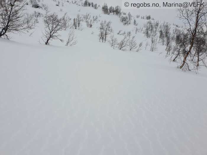 Image Of Snow Cover