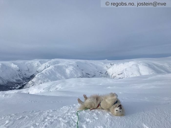 Image Of Snow Cover