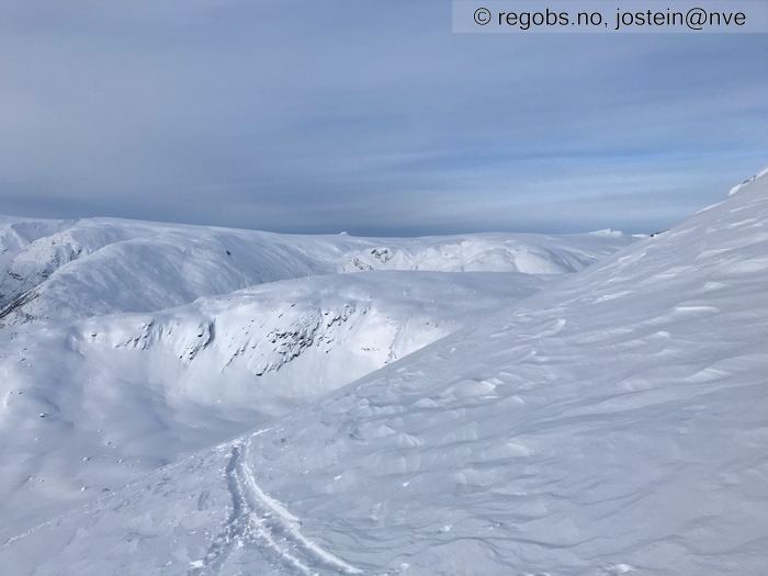 Bilde Av Snødekke