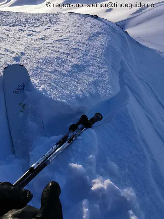 Bilde Av Snødekke