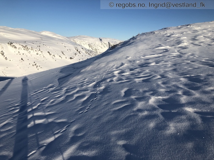 Bilde Av Snødekke