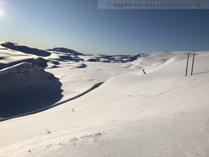 Bilde Av Snødekke