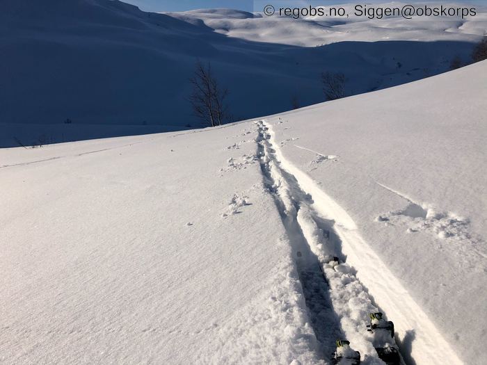 Image Of Snow Cover