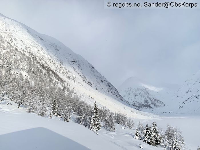 Image Of Avalanche Activity