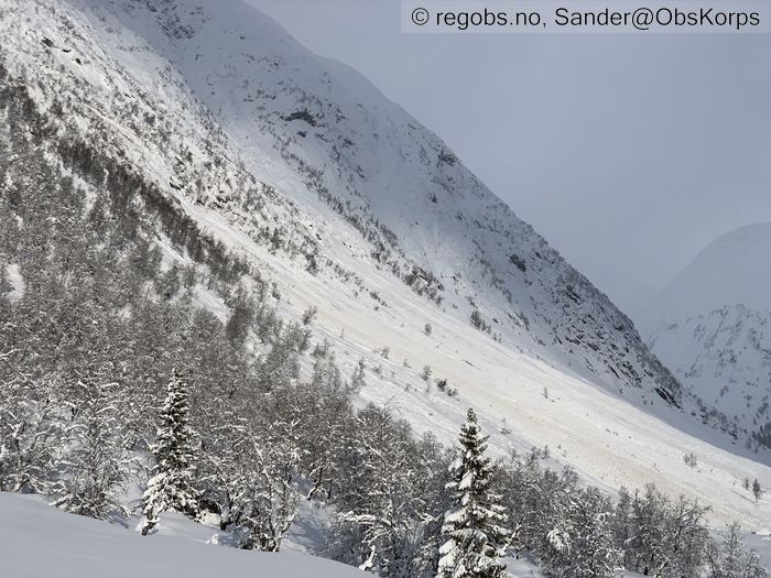 Image Of Avalanche Activity