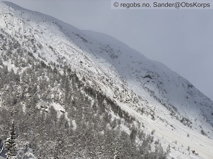 Image Of Avalanche Activity