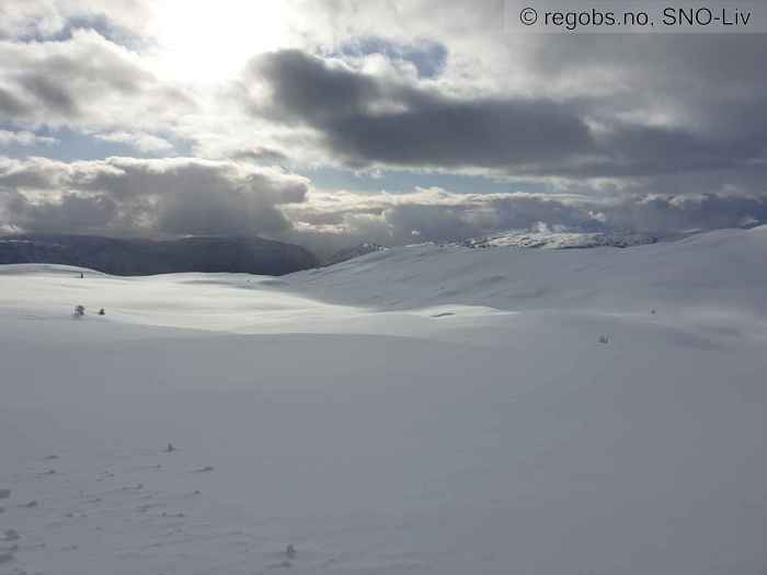 Image Of Snow Cover