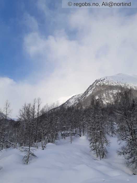 Image Of Snow Cover