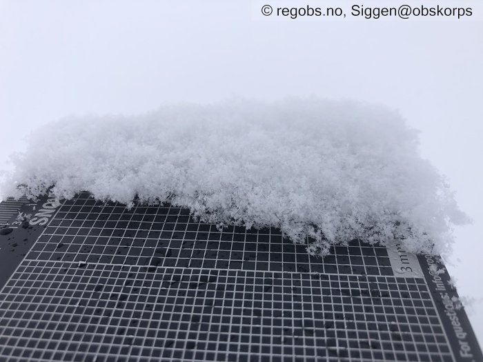 Image Of Snow Cover