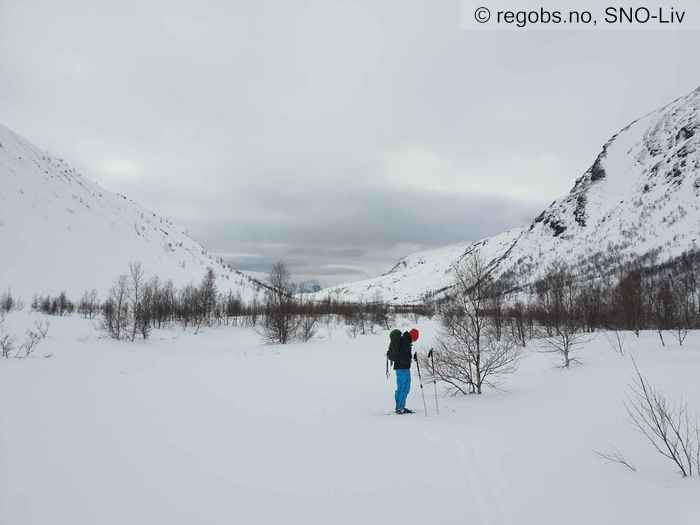 Bilde Av Snødekke