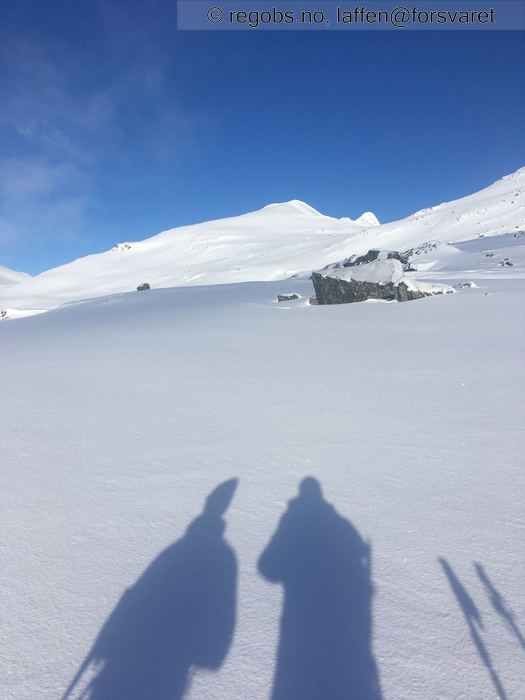 Bilde Av Vær