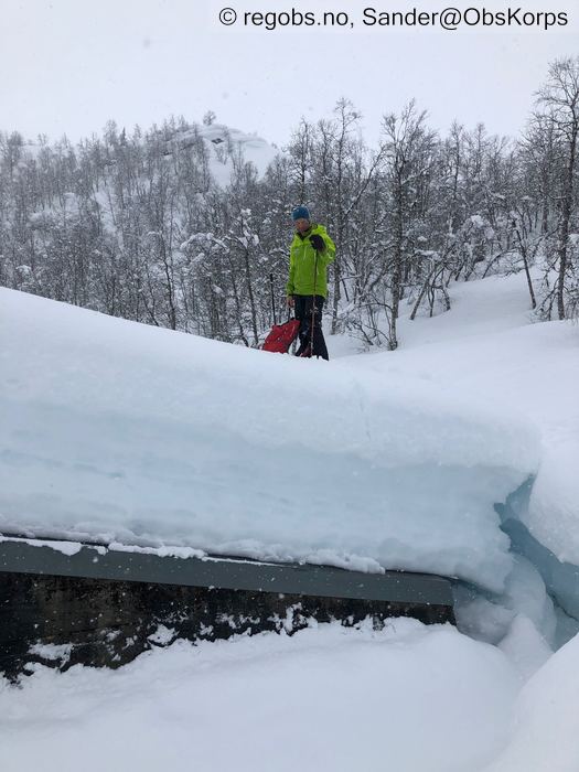 Bilde Av Snødekke