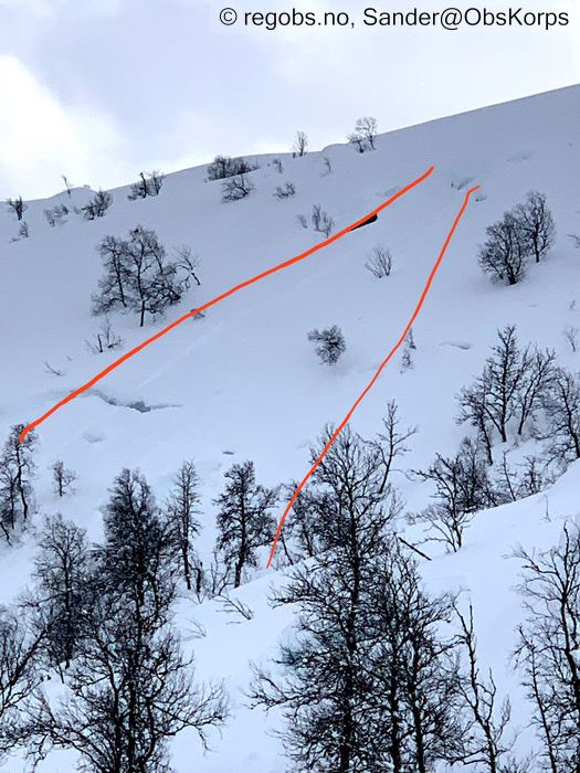 Image Of Avalanche Activity