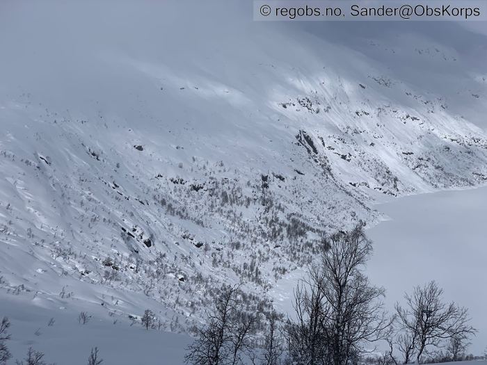 Bilde Av Snødekke