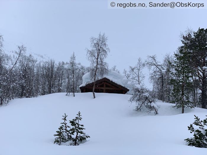 Bilde Av Snødekke