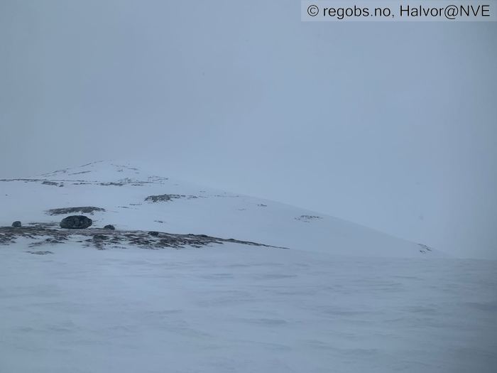 Bilde Av Snødekke