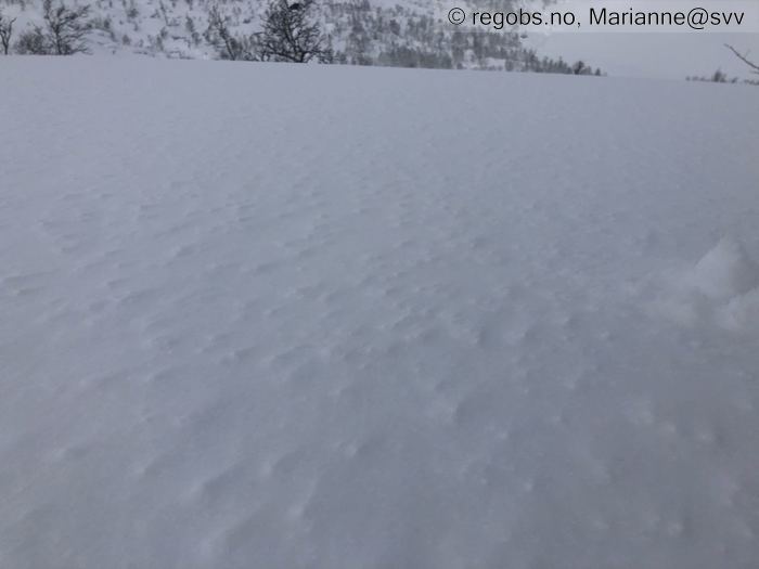 Image Of Avalanche Danger Assessment