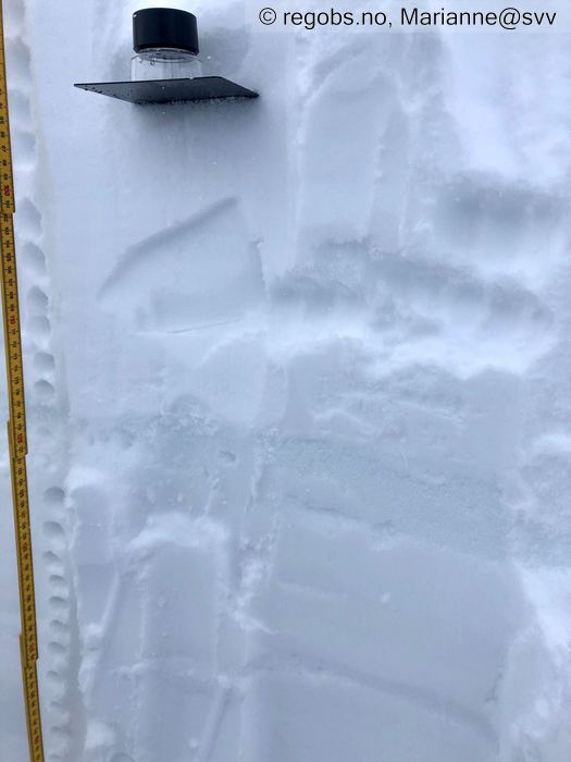 Image Of Snow Profile