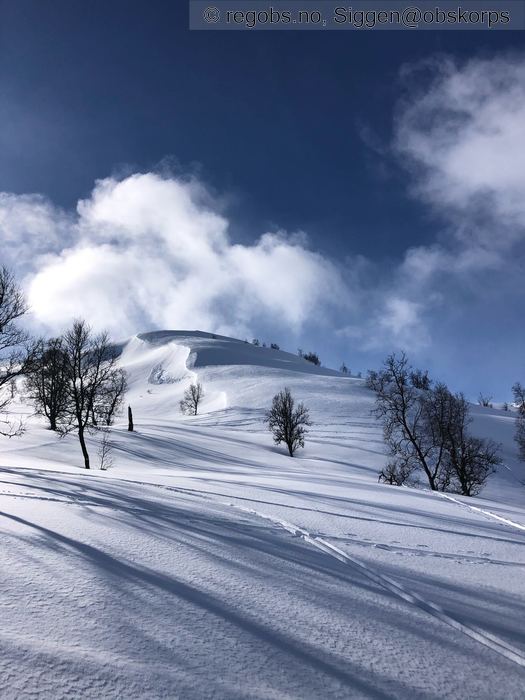 Bilde Av Snødekke