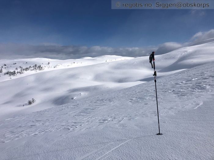 Image Of Snow Cover