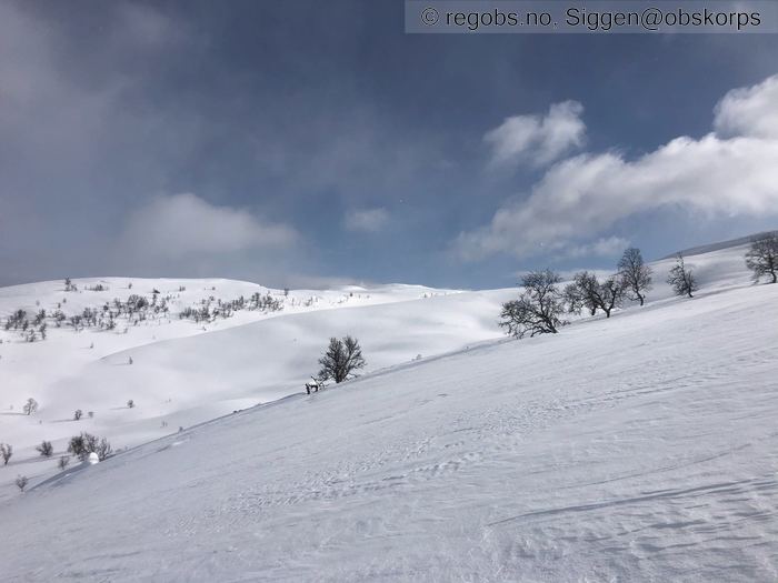 Image Of Snow Cover