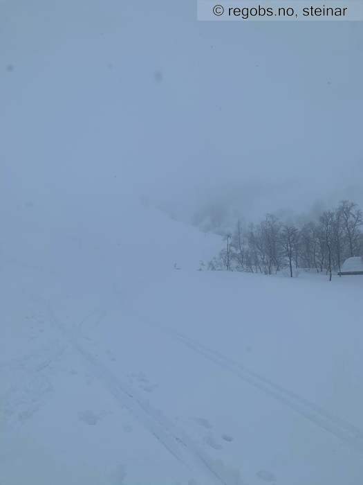 Image Of Avalanche Activity