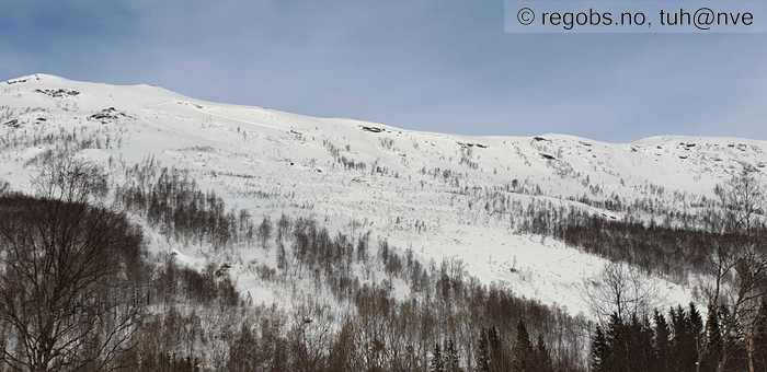 Image Of Avalanche Activity