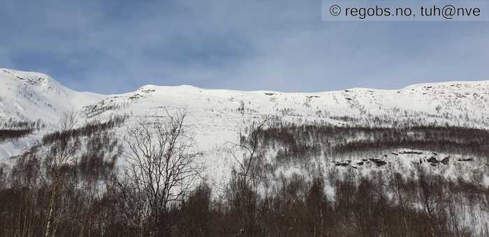 Image Of Avalanche Activity