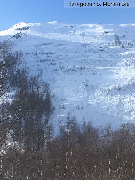 Image Of Avalanche Activity