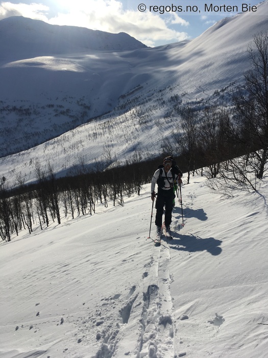 Image Of Snow Cover