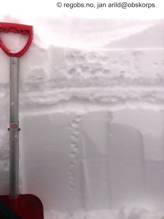 Image Of Snow Profile