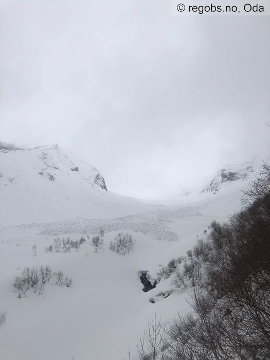 Image Of Avalanche Observation