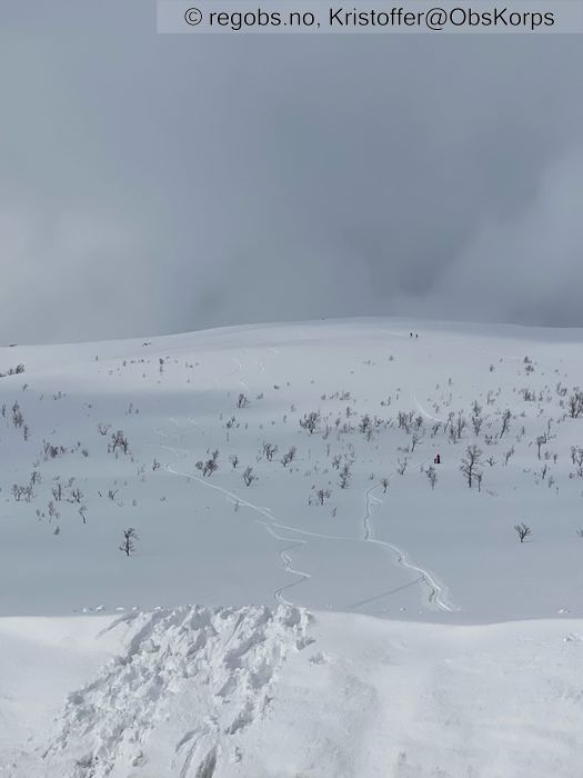 Bilde Av Snødekke