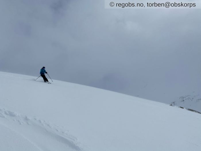 Bilde Av Snødekke