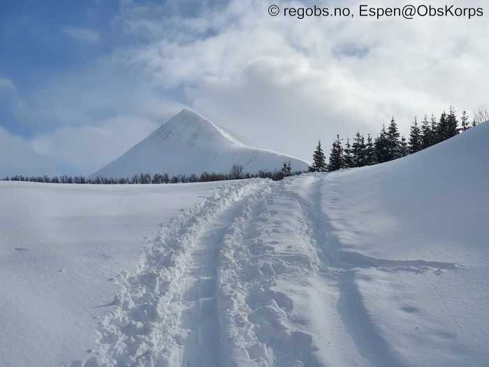 Image Of Snow Cover