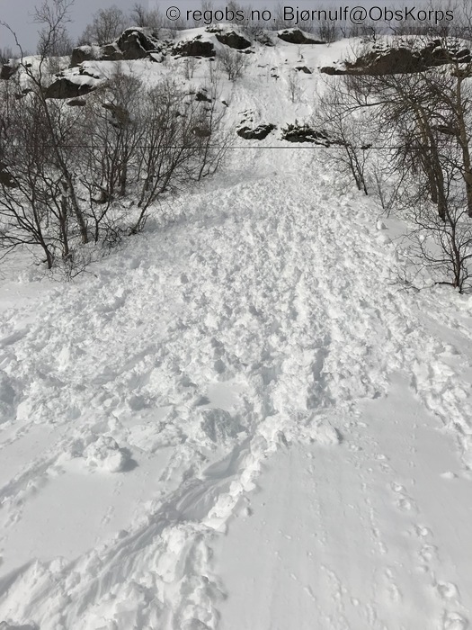 Image Of Avalanche Activity