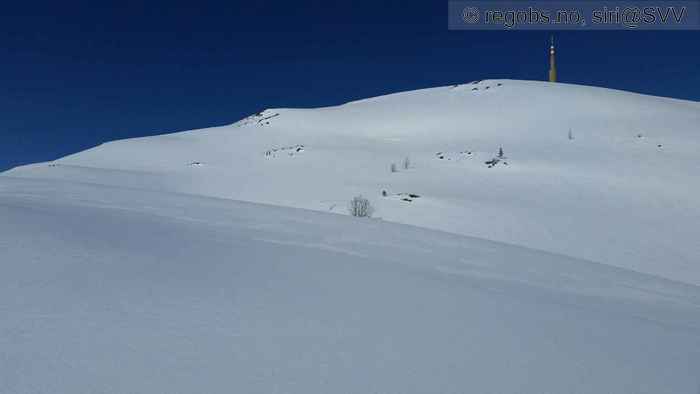 Image Of Snow Cover