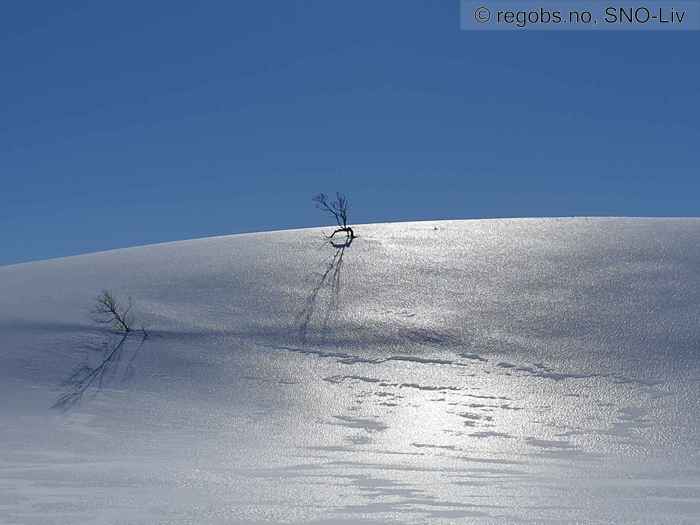 Image Of Snow Cover