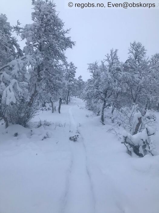 Bilde Av Vær